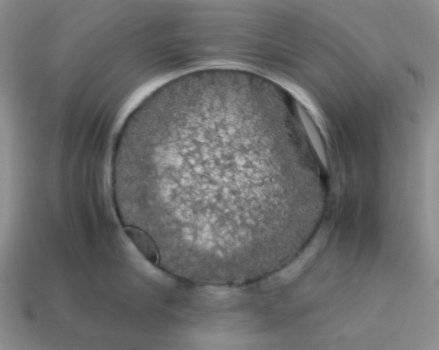 X0000113600910200910091518