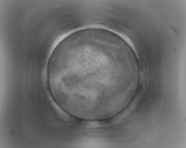 X0000113600911200910091518