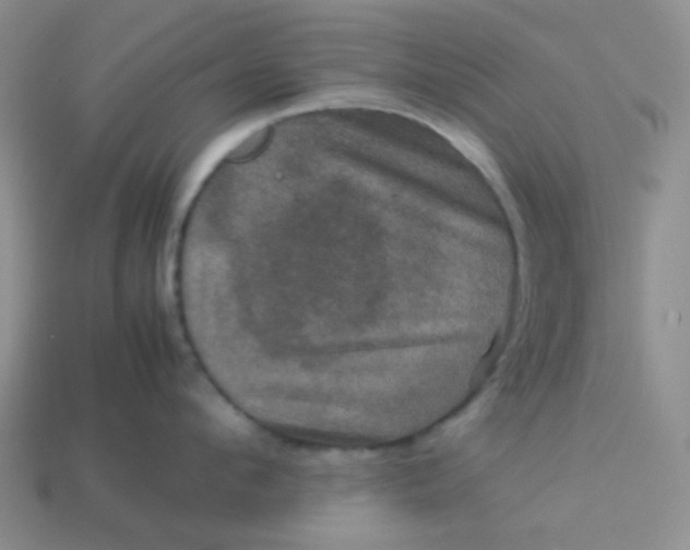 X0000113600912200910091518