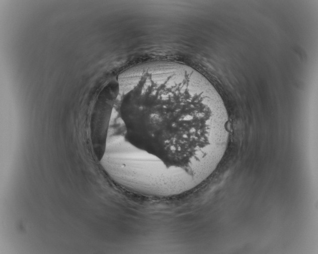 X0000113600913200910091517