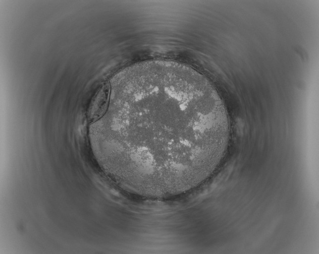 X0000113600914200910091517