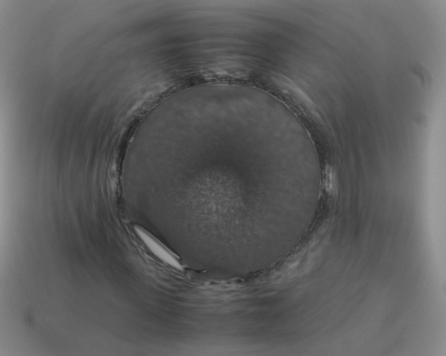 X0000113600915200910091517