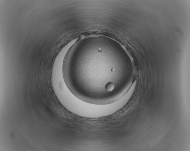 X0000113600916200910091517