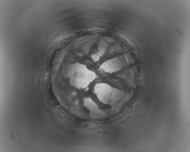 X0000113600917200910091517