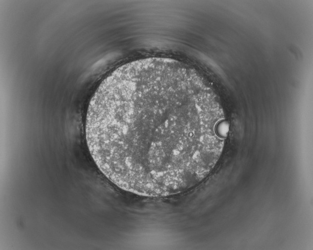 X0000113600918200910091517