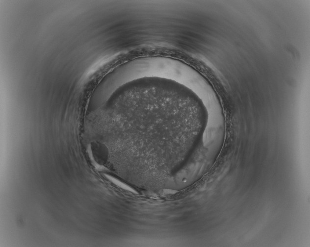 X0000113600919200910091517