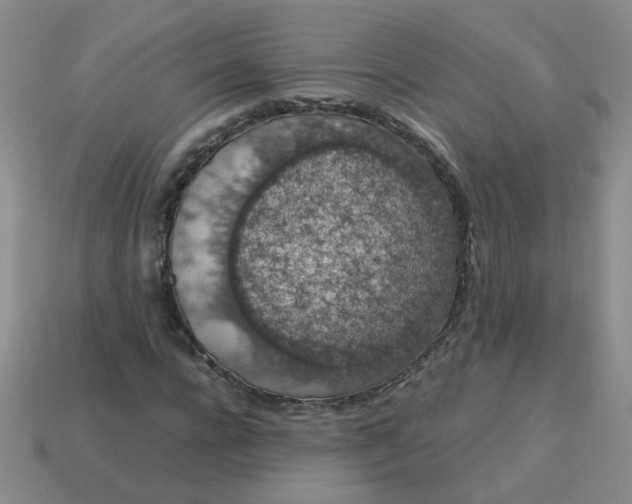 X0000113600920200910091517