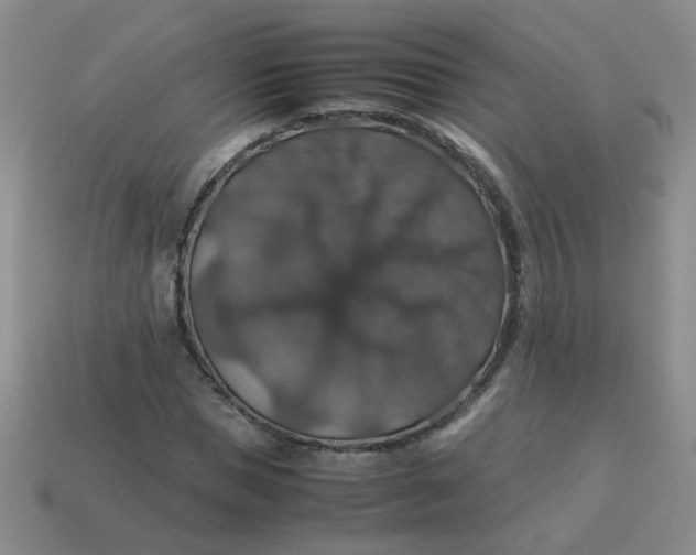 X0000113600921200910091517