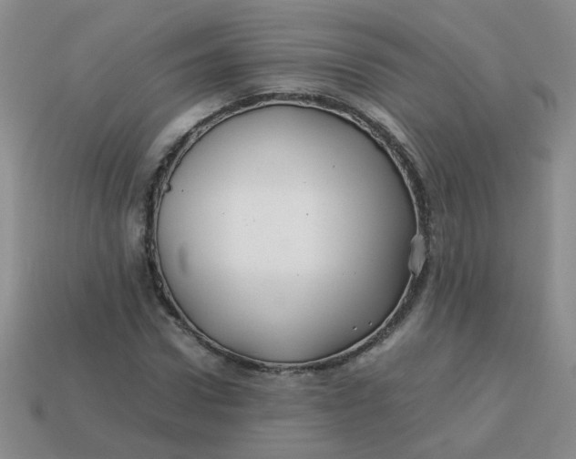 X0000113600922200910091517