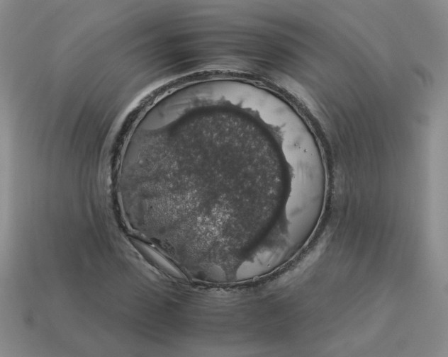 X0000113600923200910091517