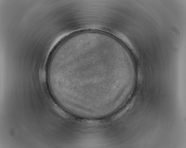 X0000113600924200910091517