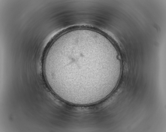 X0000113600927200910091518