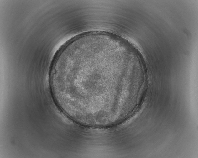 X0000113600928200910091518