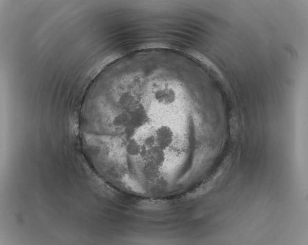 X0000113600929200910091518