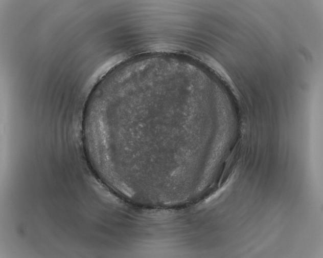 X0000113600930200910091518