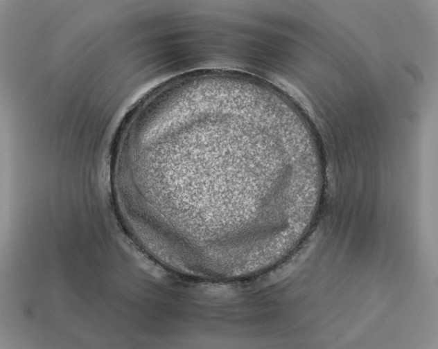 X0000113600931200910091518