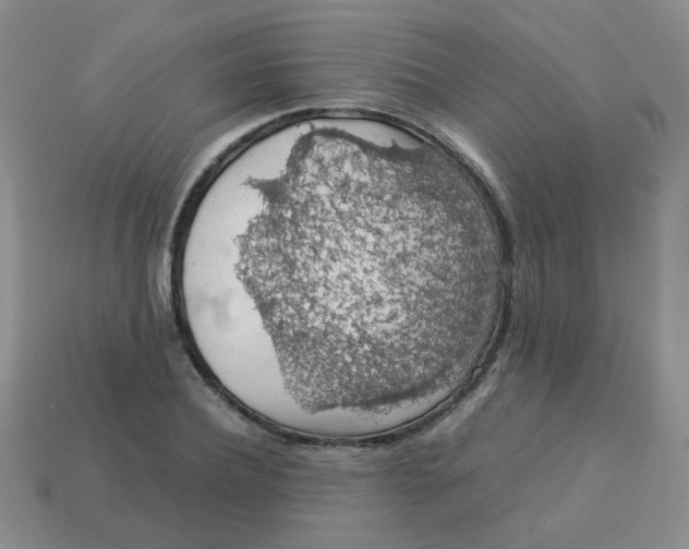 X0000113600932200910091518