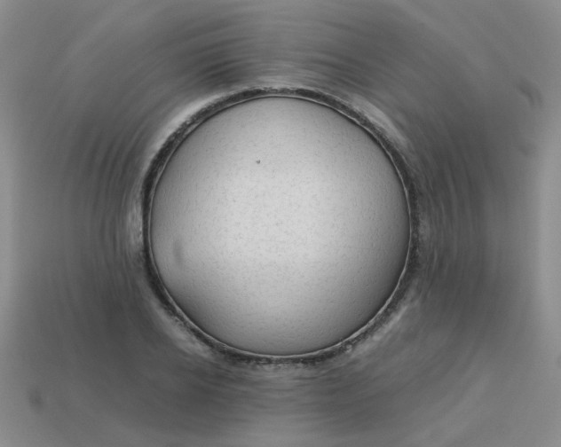 X0000113600934200910091518