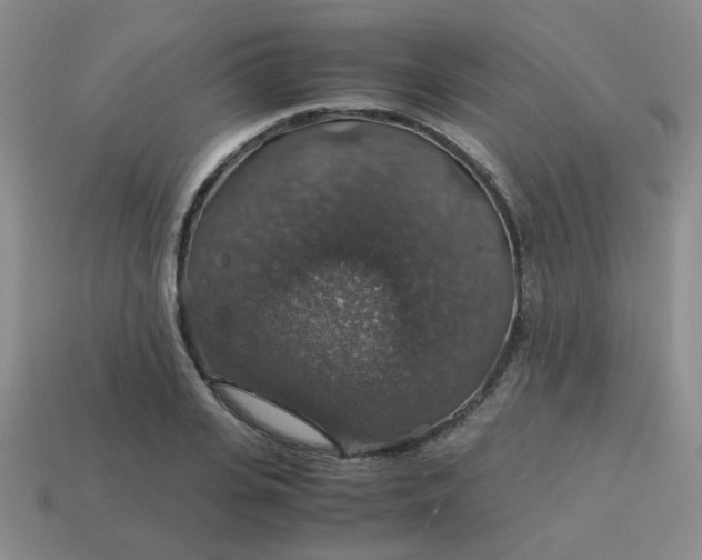 X0000113600935200910091518