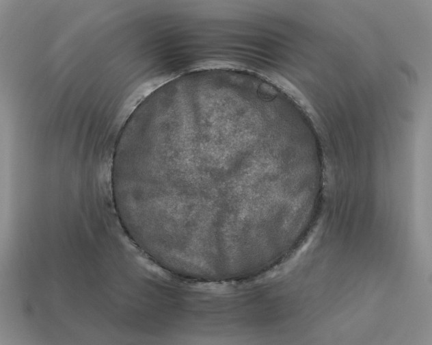 X0000113600937200910091518