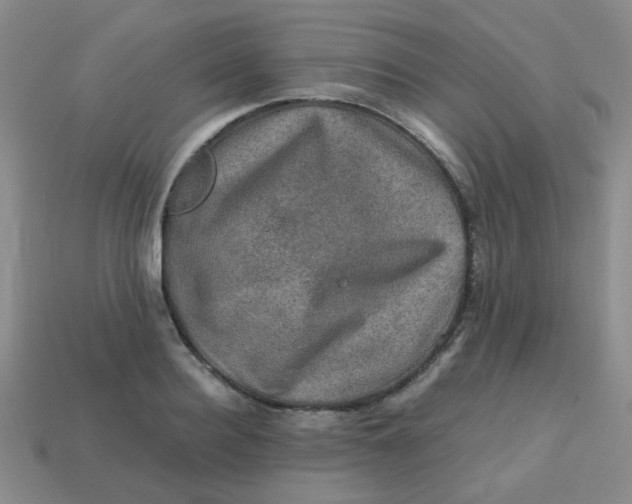 X0000113600940200910091518