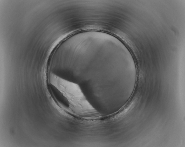 X0000113600941200910091518