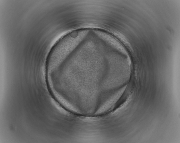 X0000113600942200910091518