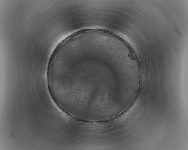 X0000113600943200910091518