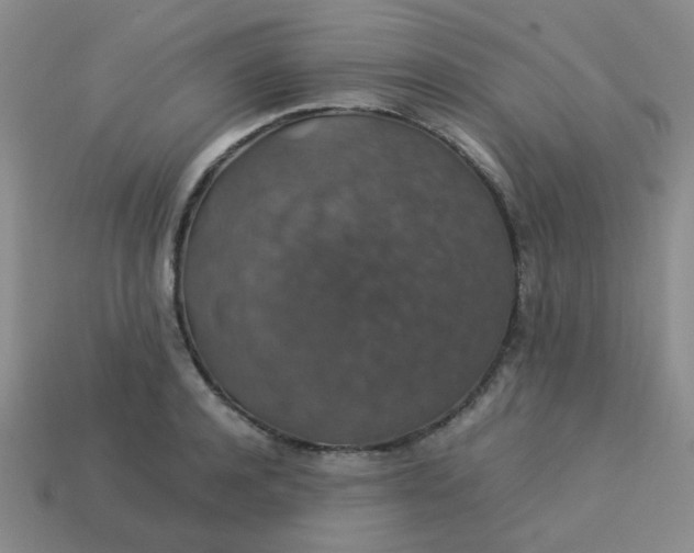 X0000113600944200910091518