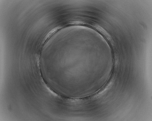 X0000113600945200910091518