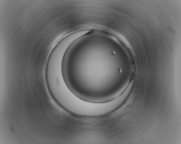 X0000113600946200910091518