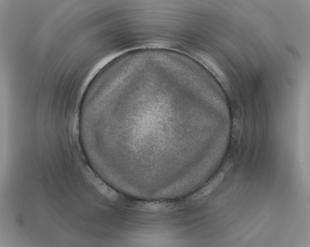 X0000113600948200910091518