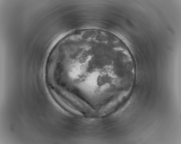 X0000113600949200910091518