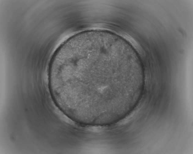 X0000113600950200910091518