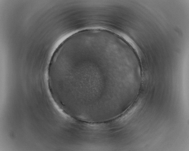 X0000113600951200910091518