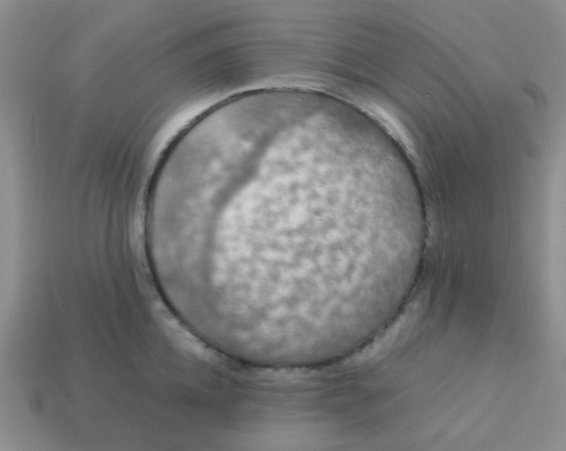 X0000113600952200910091518