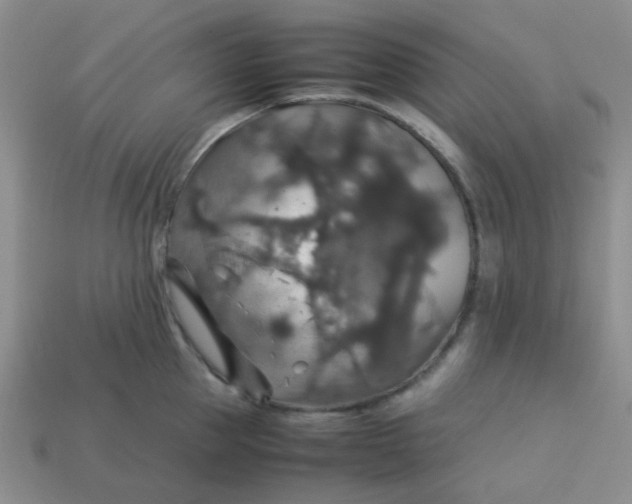 X0000113600953200910091518