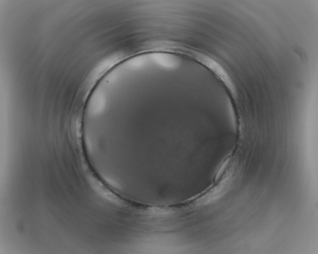 X0000113600954200910091518