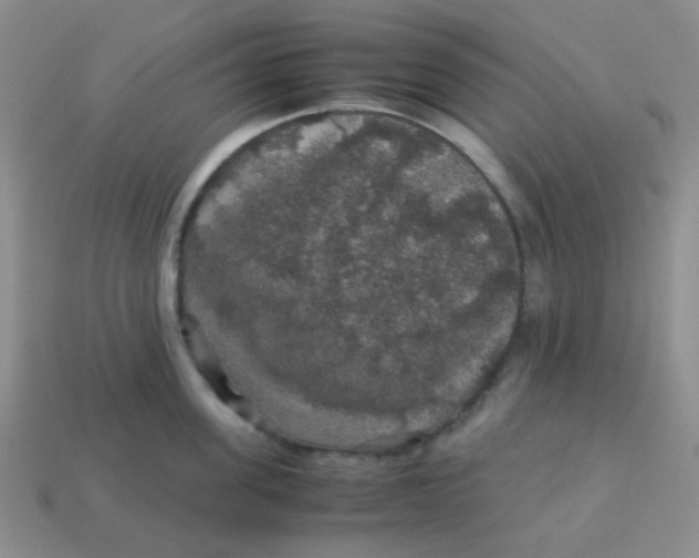 X0000113600955200910091518