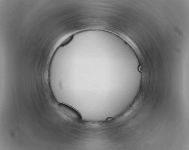 X0000113600956200910091518