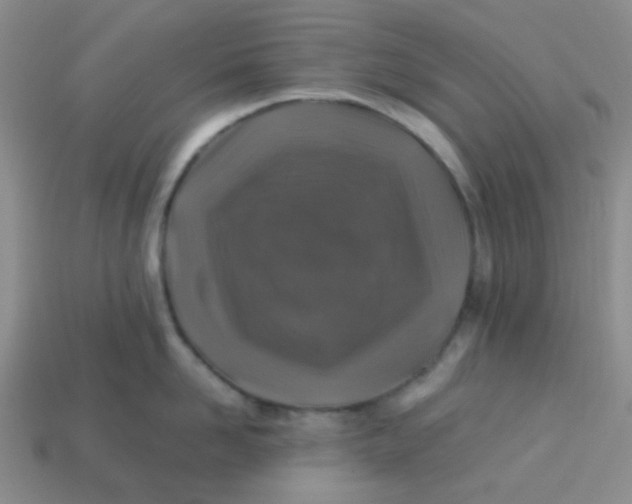 X0000113600958200910091518