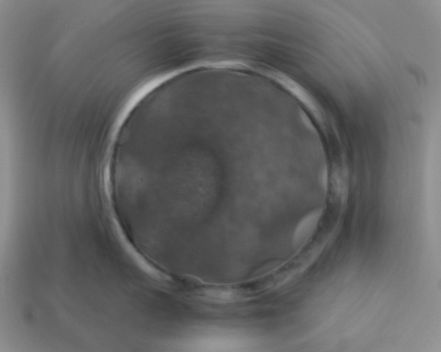 X0000113600959200910091518