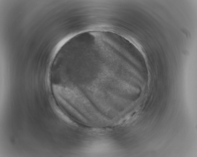 X0000113600960200910091518