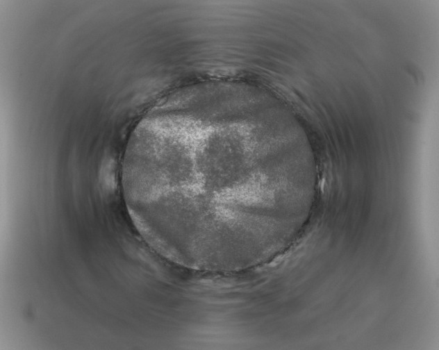 X0000113600962200910091517