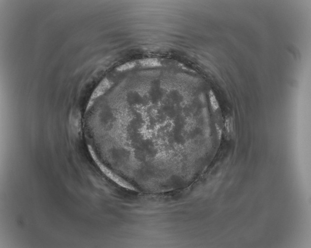 X0000113600963200910091517