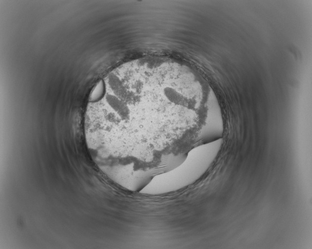 X0000113600964200910091517