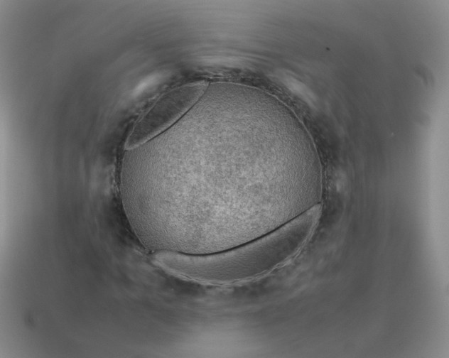 X0000113600965200910091517