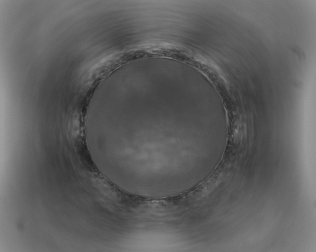 X0000113600966200910091517