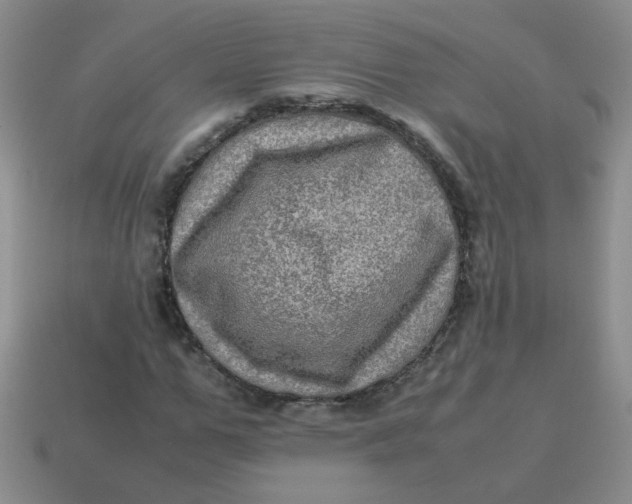 X0000113600967200910091517