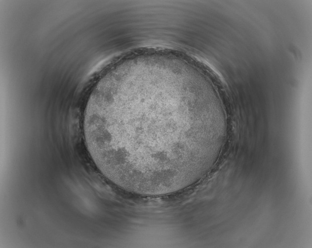 X0000113600968200910091517